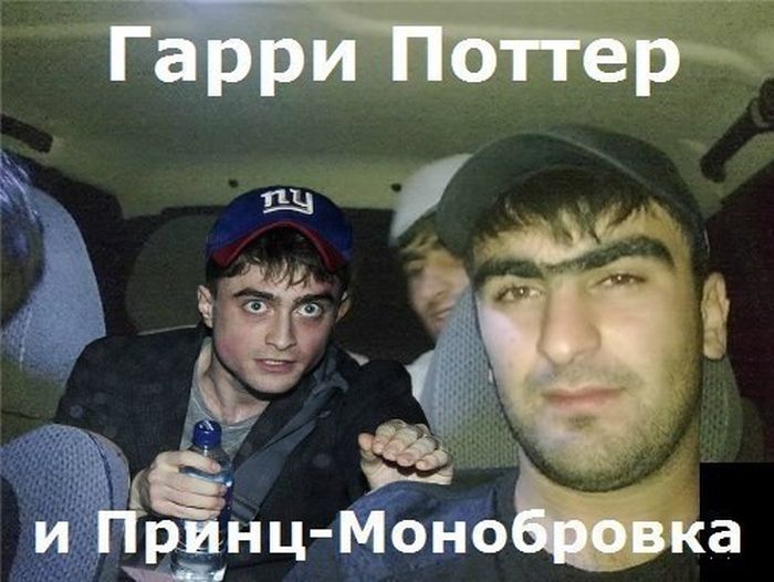 Порция картинок