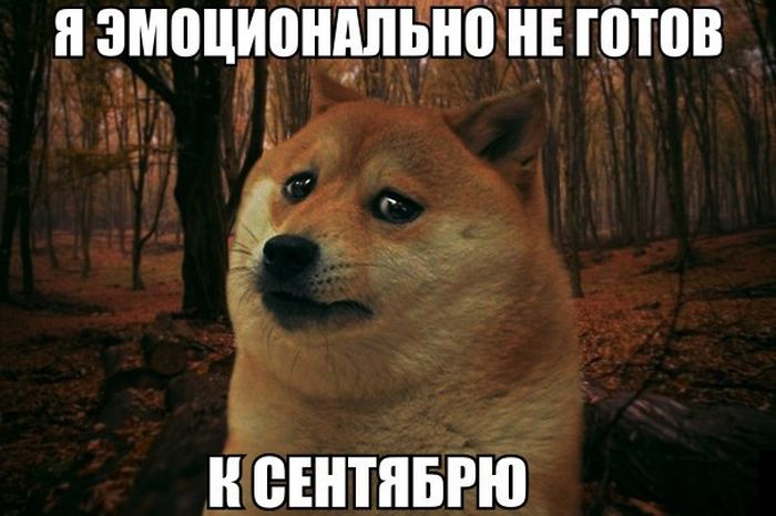 Порция картинок