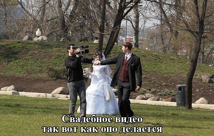 Порция картинок