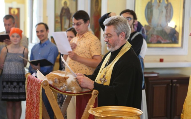 В подмосковном храме прошёл молебен о бездомных кошках и собаках