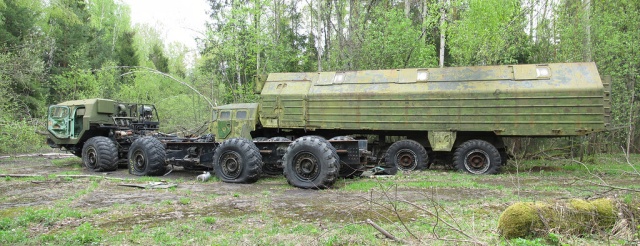 Неожиданная находка в лесу
