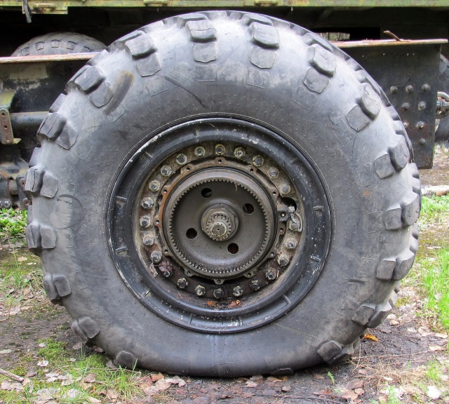 Неожиданная находка в лесу