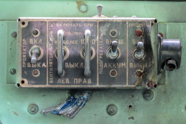 Неожиданная находка в лесу