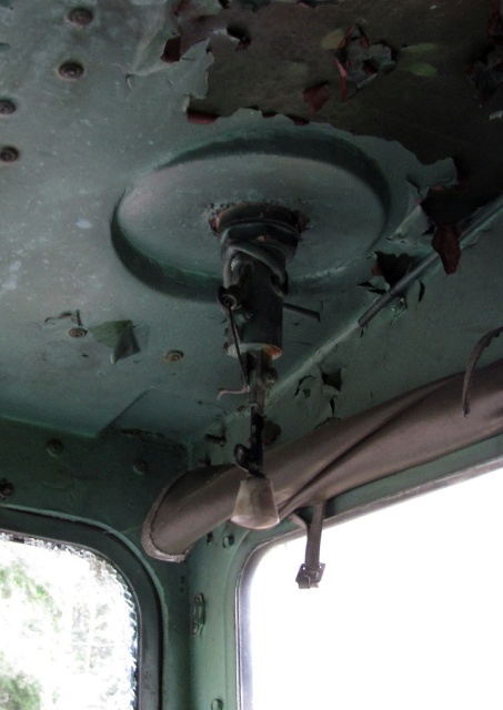 Неожиданная находка в лесу