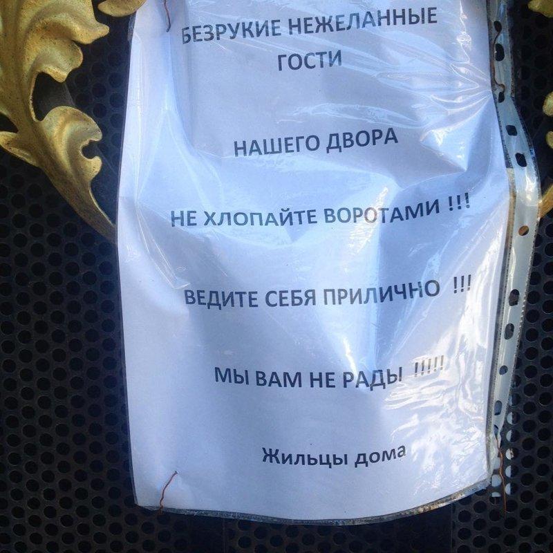Когда с соседями «повезло»