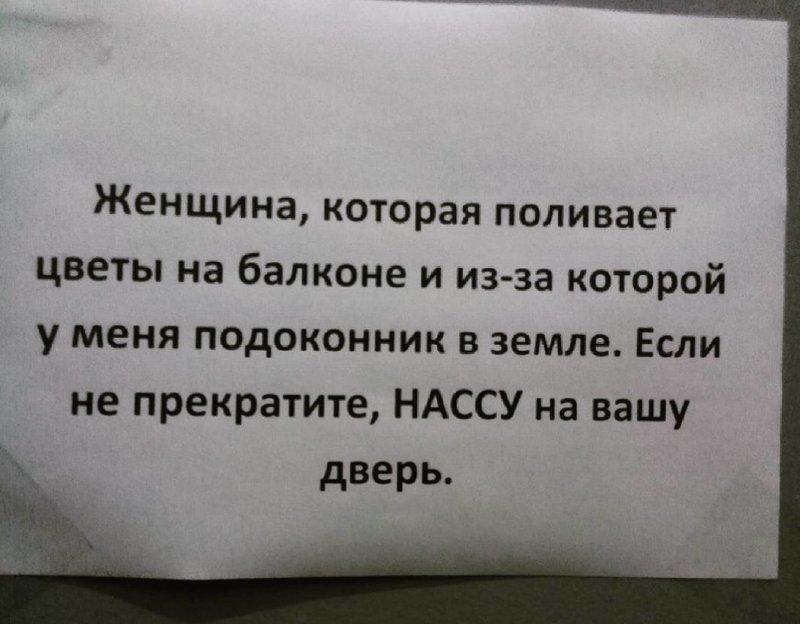 Когда с соседями «повезло»