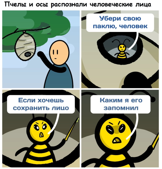 Смешные комиксы