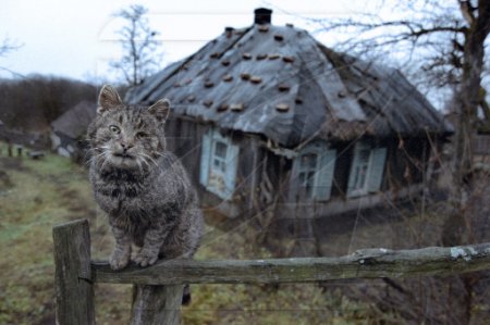 Что мы знаем о нашей стране...? (18 фото)