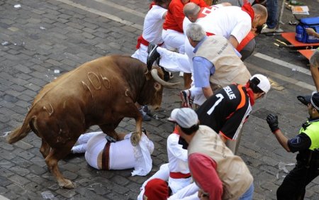 Добегались (6 фото)