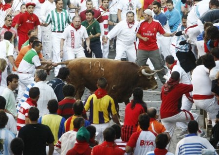 Добегались (6 фото)