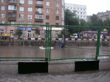 Сокол утонул (5 фото)