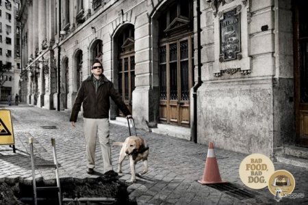 Реклама собачьего корма