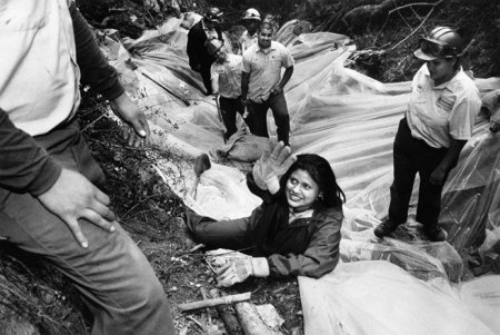 Банды Лос Анджелеса (26 фото)