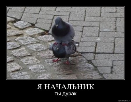 Демотиваторы (26 фото)