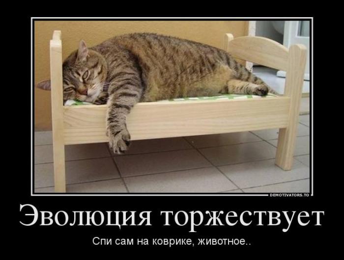 Демотиваторы (73 фото)