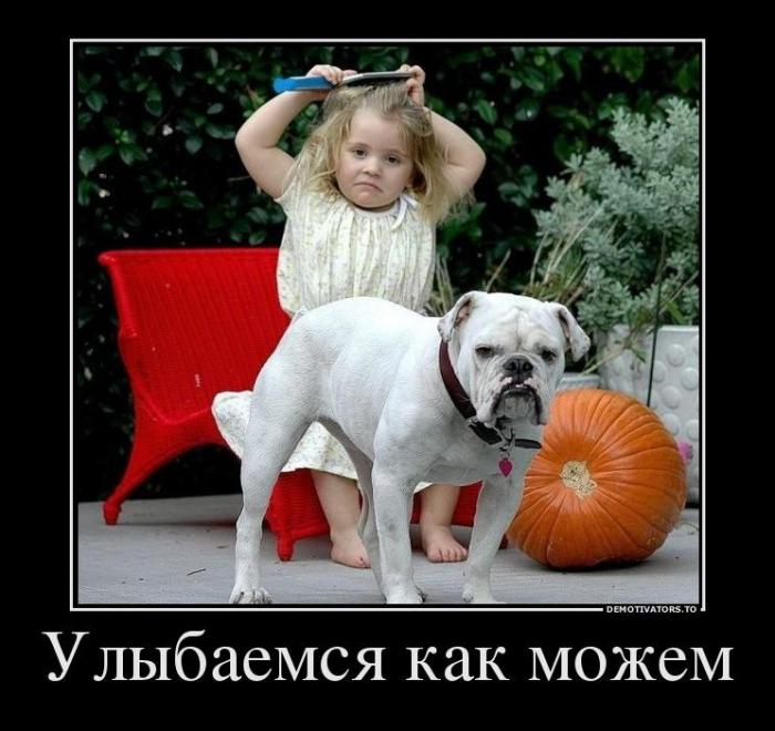 Демотиваторы (73 фото)