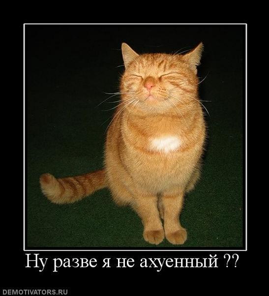 Демотиваторы (73 фото)