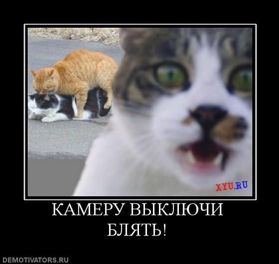 Демотиваторы (73 фото)