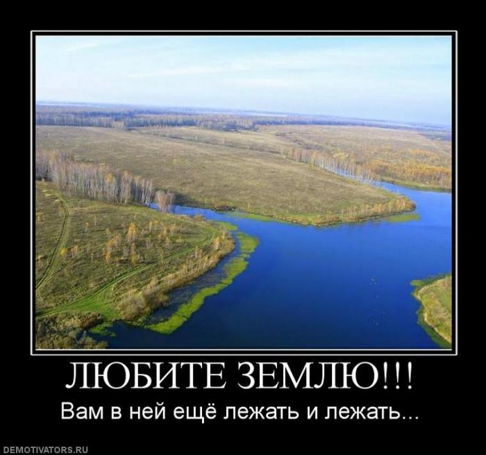 Демотиваторы (73 фото)