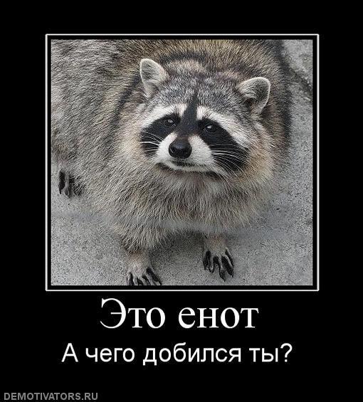 Демотиваторы (73 фото)