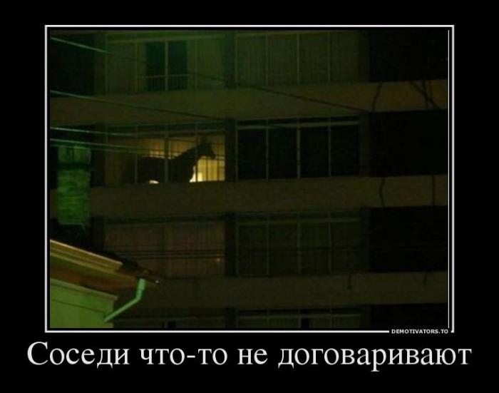 Демотиваторы (73 фото)