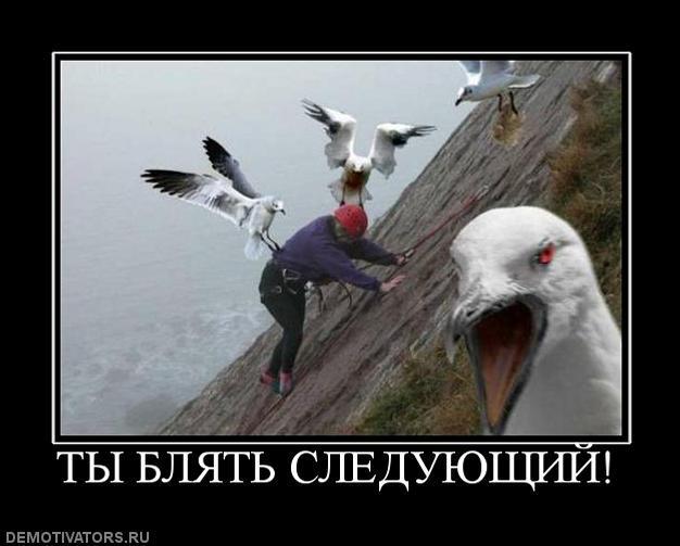 Демотиваторы (73 фото)