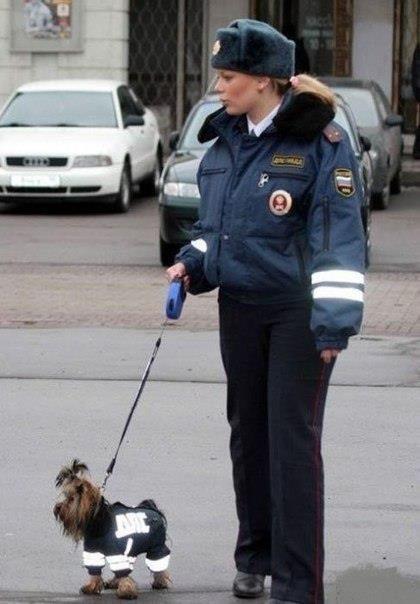 Прикольные картинки (40 фото)