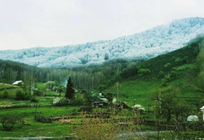 Удивительные снимки, которые не были обработаны графическими редакторами