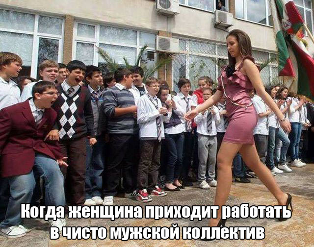 Прикольные картинки