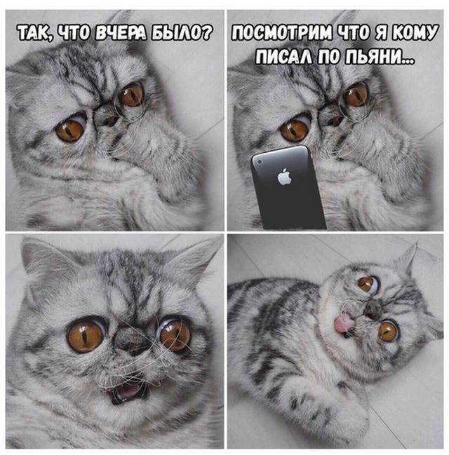 Прикольные картинки