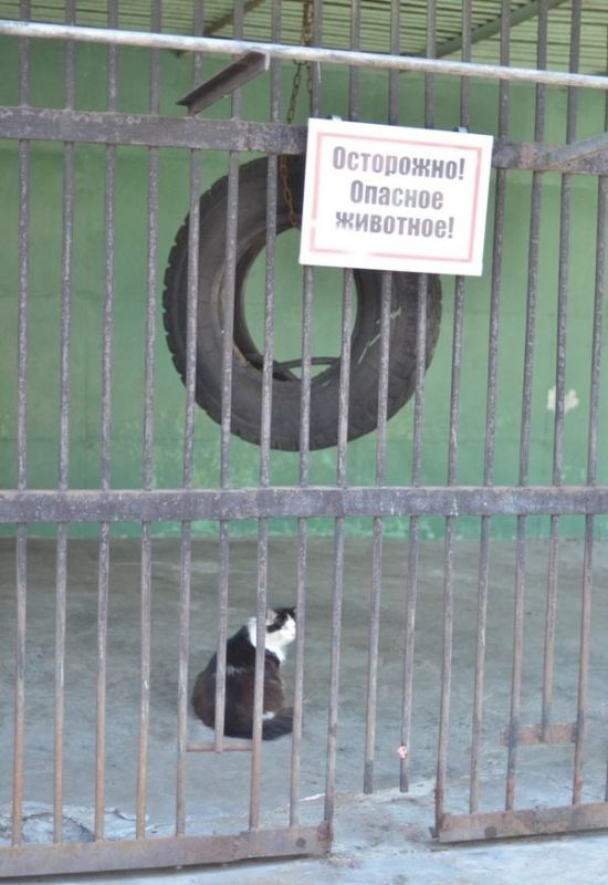 На улицах города всегда нужно быть начеку