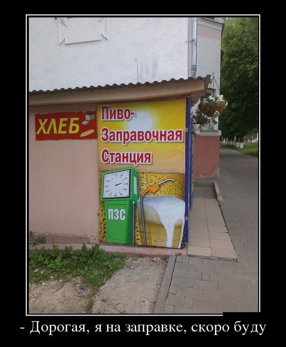 Демотиваторы