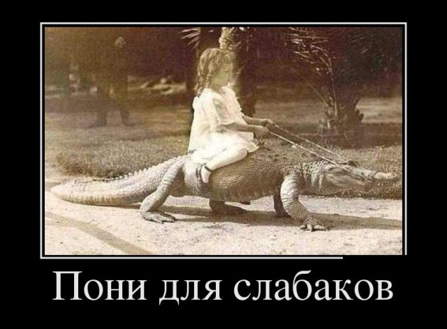Демотиваторы