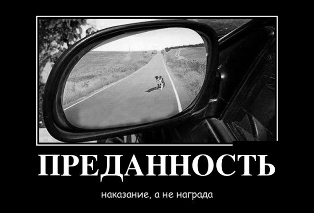 Демотиваторы