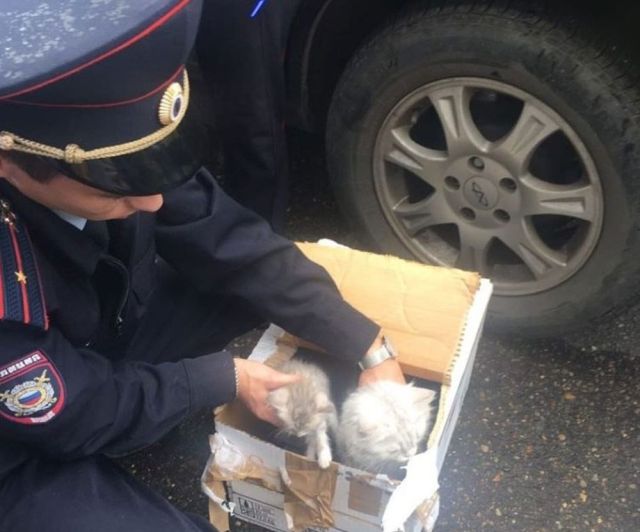 В Казани эвакуировали жилой дом из-за подозрительной коробки
