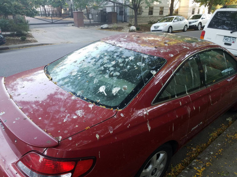 Бывают в жизни огорчения