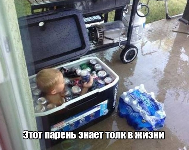 Прикольные картинки