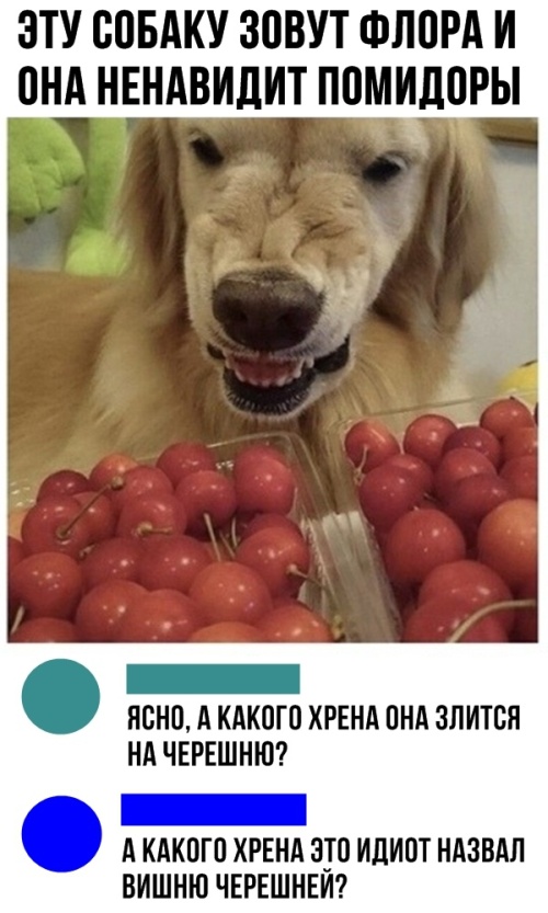 Забавные комментарии и юмор из социальных сетей