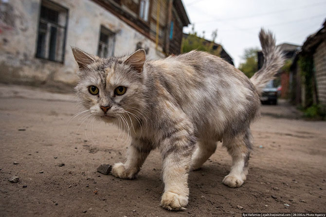 Что хорошего в Самаре
