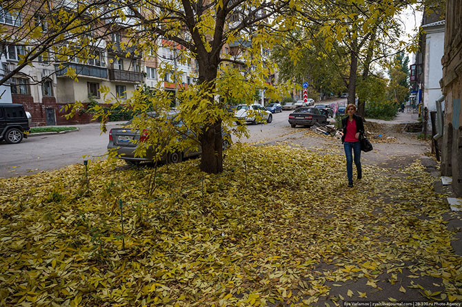Что хорошего в Самаре