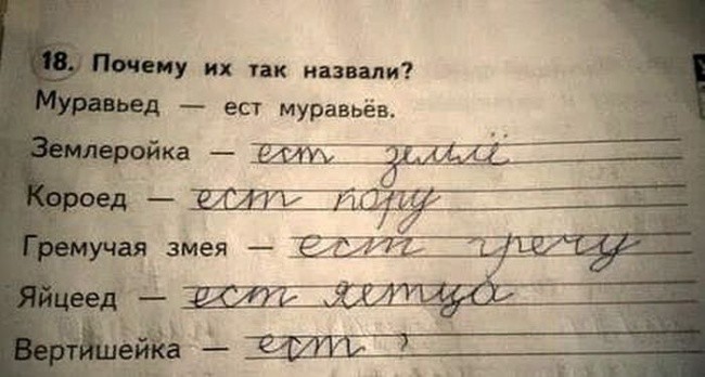 Гениальные ответы детей в школьных тетрадях