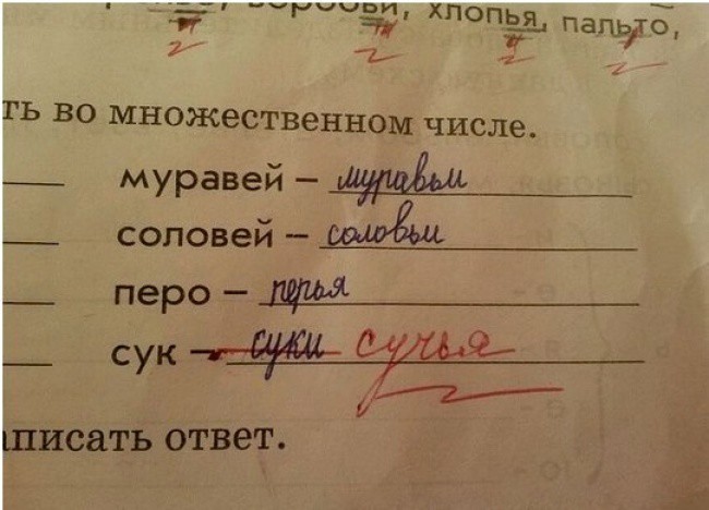 Гениальные ответы детей в школьных тетрадях