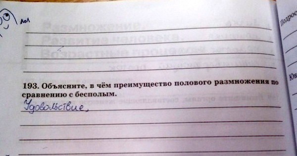 Гениальные ответы детей в школьных тетрадях