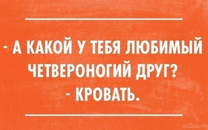 Порция картинок