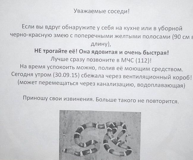 Порция картинок