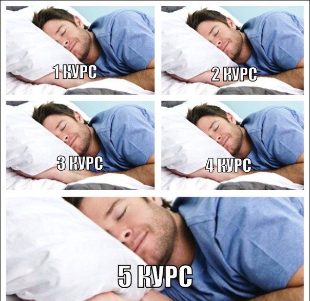 Порция картинок