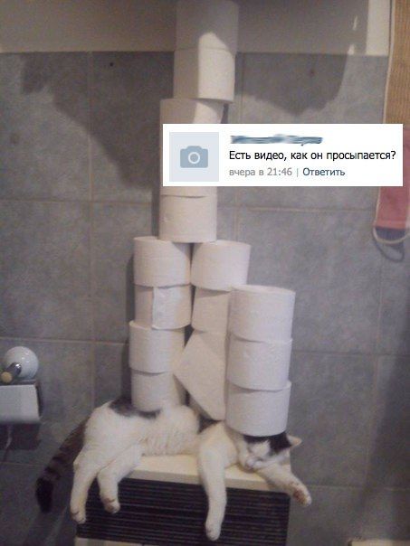 Порция картинок