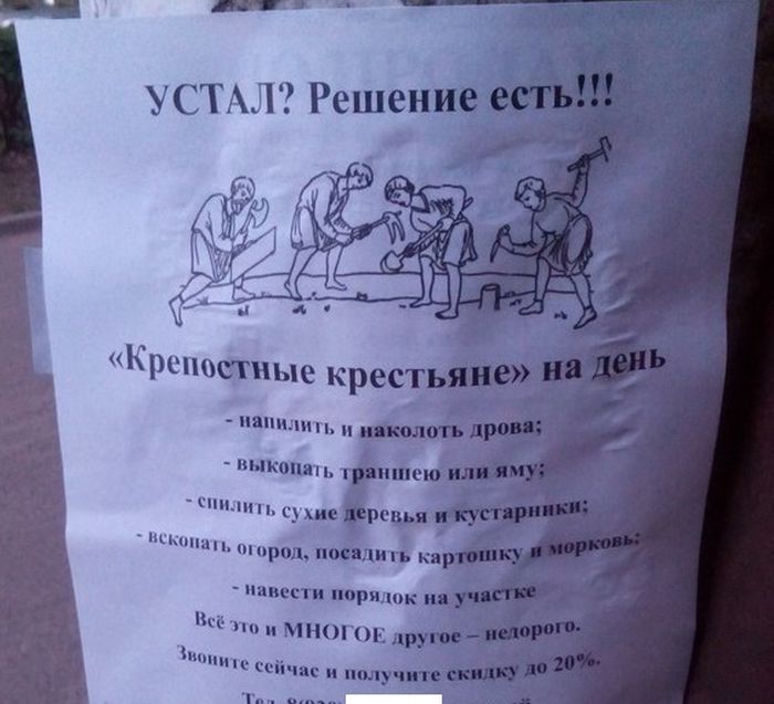 Порция картинок