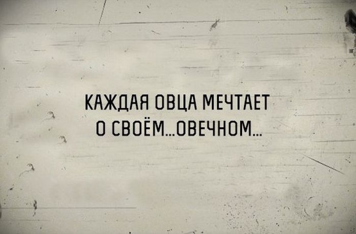 Порция картинок