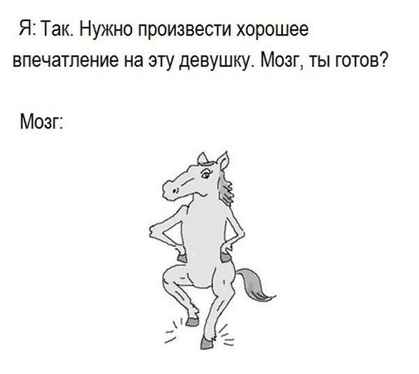 Порция картинок